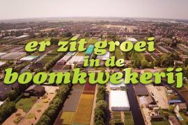 Er zit groei in de boomkwekerij!
