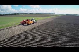 Land- en tuinbouw in de zomer